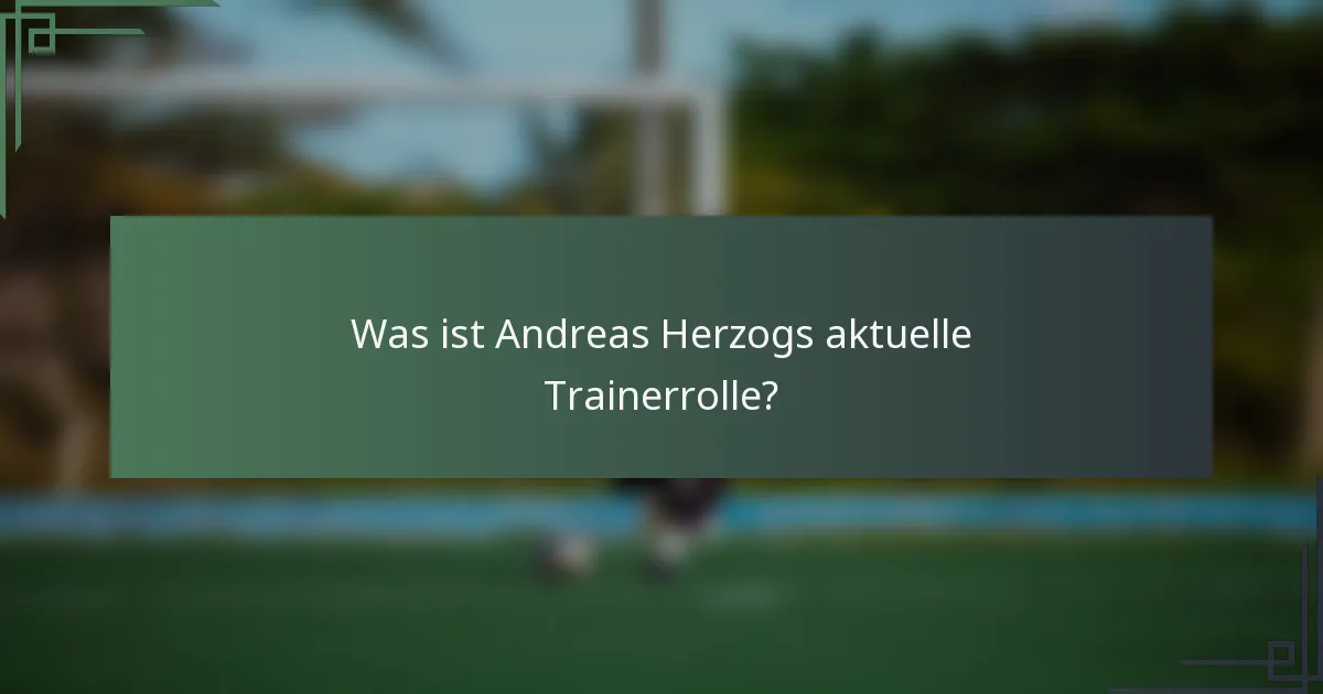 Was ist Andreas Herzogs aktuelle Trainerrolle?