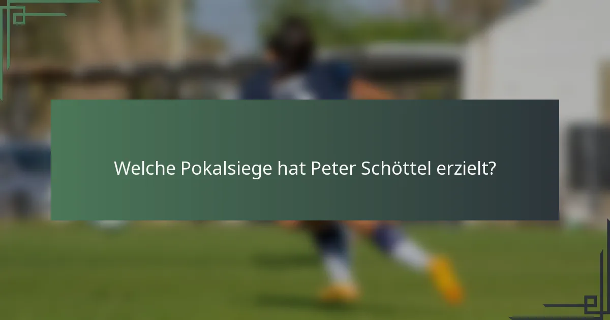 Welche Pokalsiege hat Peter Schöttel erzielt?